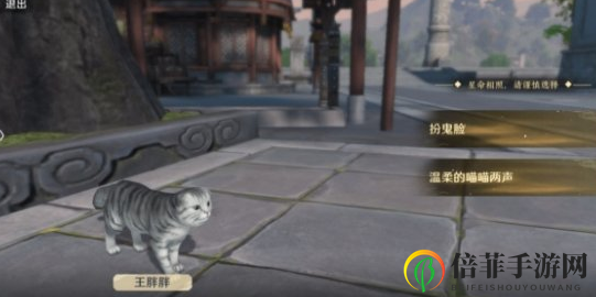天涯明月刀手游小猫咪怎么获得 天刀手游猫之友奇遇任务完成攻略
