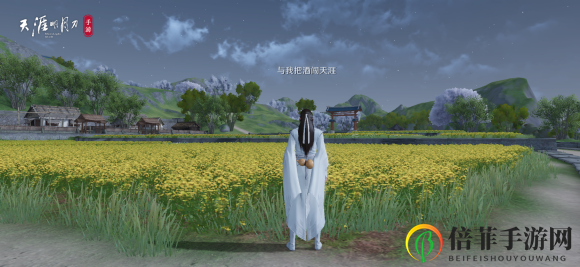 天涯明月刀手游海河洲胜景录坐标位置地点全解