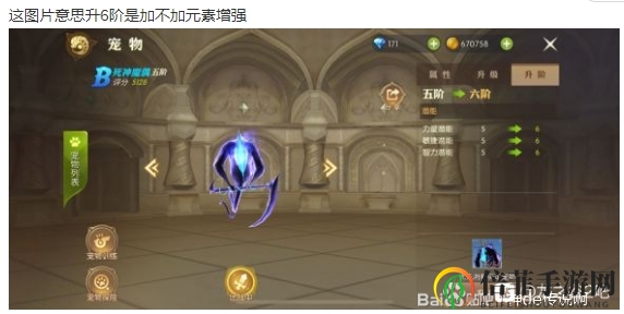 龙之谷2手游宠物哪个好 各宠物差别详解
