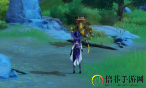 《原神》脆弱的骨片获取地点 原神脆弱的骨片刷新位置介绍