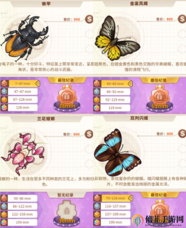 悠长假期手游昆虫图鉴大全 1星-5星昆虫图鉴汇总