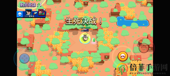 《荒野乱斗》攻略揭秘，轻松掌握决斗技巧畅游游戏