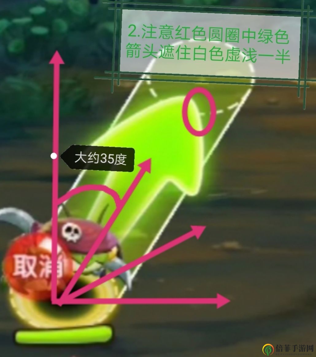 虫虫物语阵容搭配攻略 虫虫物语阵容怎么搭配