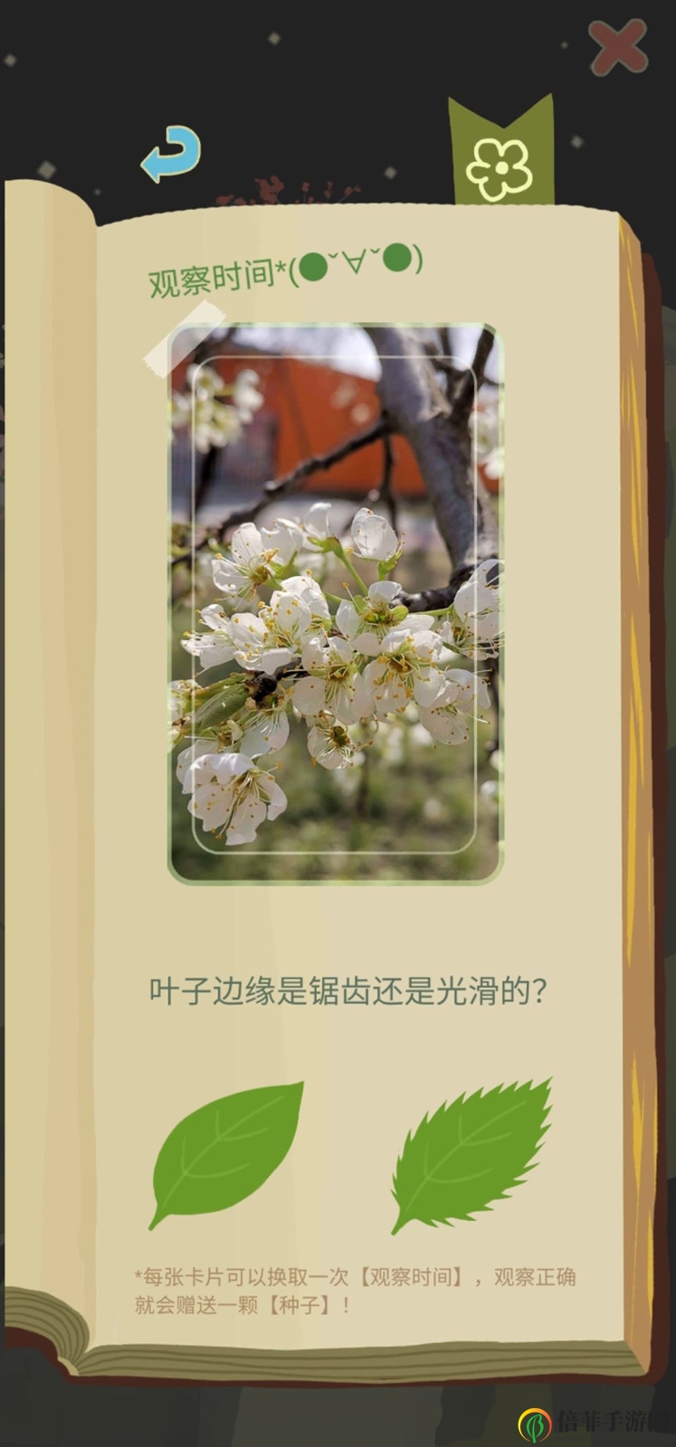 《老农智慧秘籍》种植宝典，新手快速上手攻略