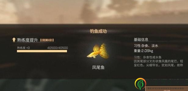 《明日之后》探秘：凤尾鱼刷新位置与群聚现身技巧