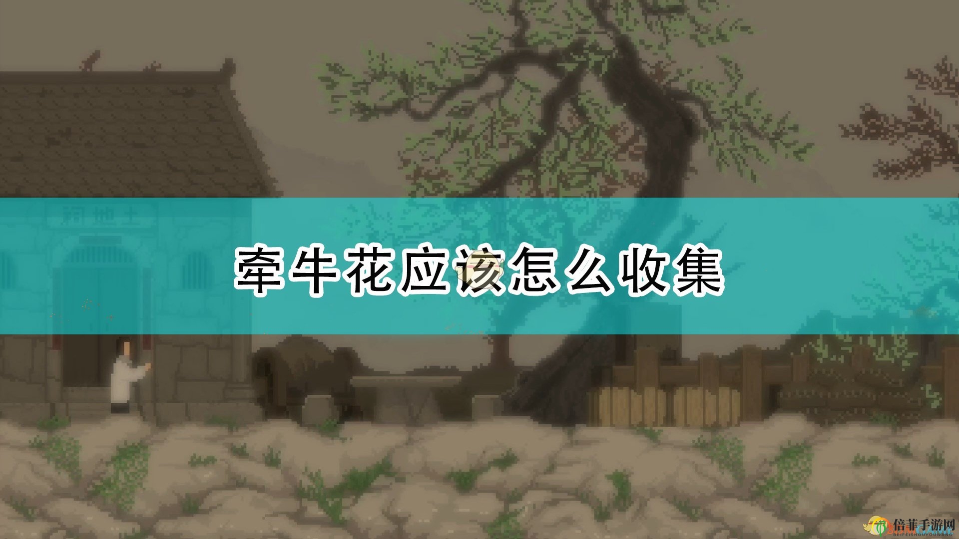 《山海旅人》中牵牛花获取攻略详解