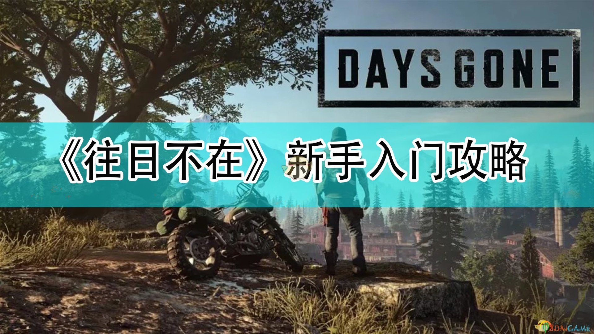 《往日不在》初学者指南，轻松上手必看