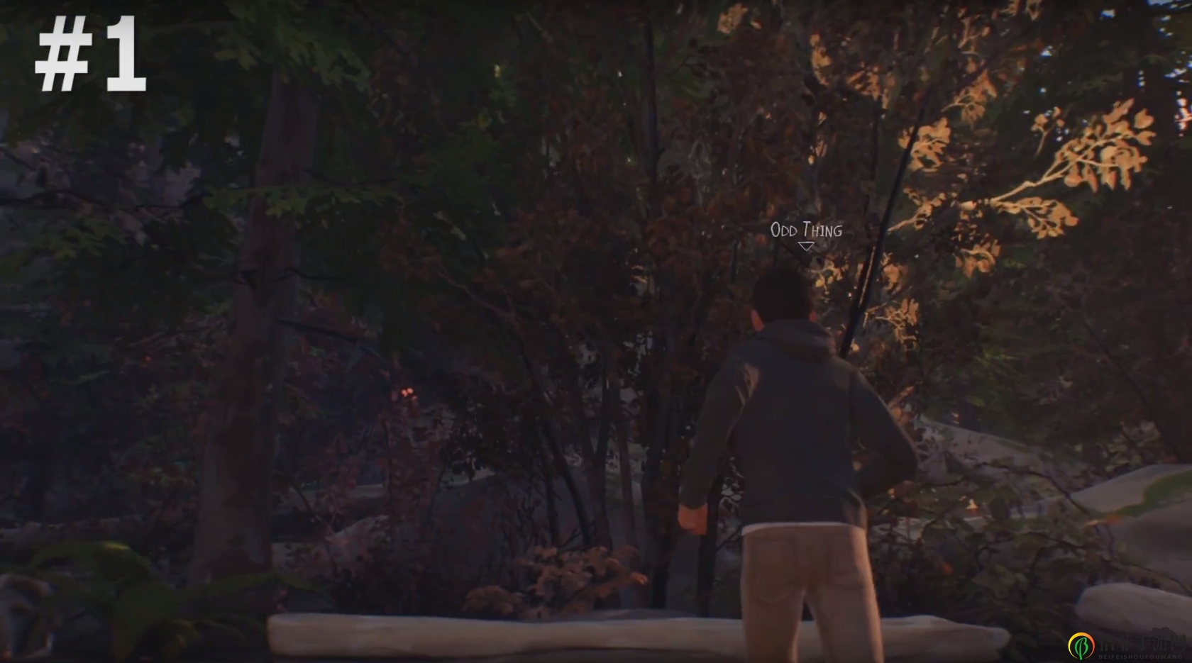 《奇异人生2》纪念品搜集，全章节攻略秘籍