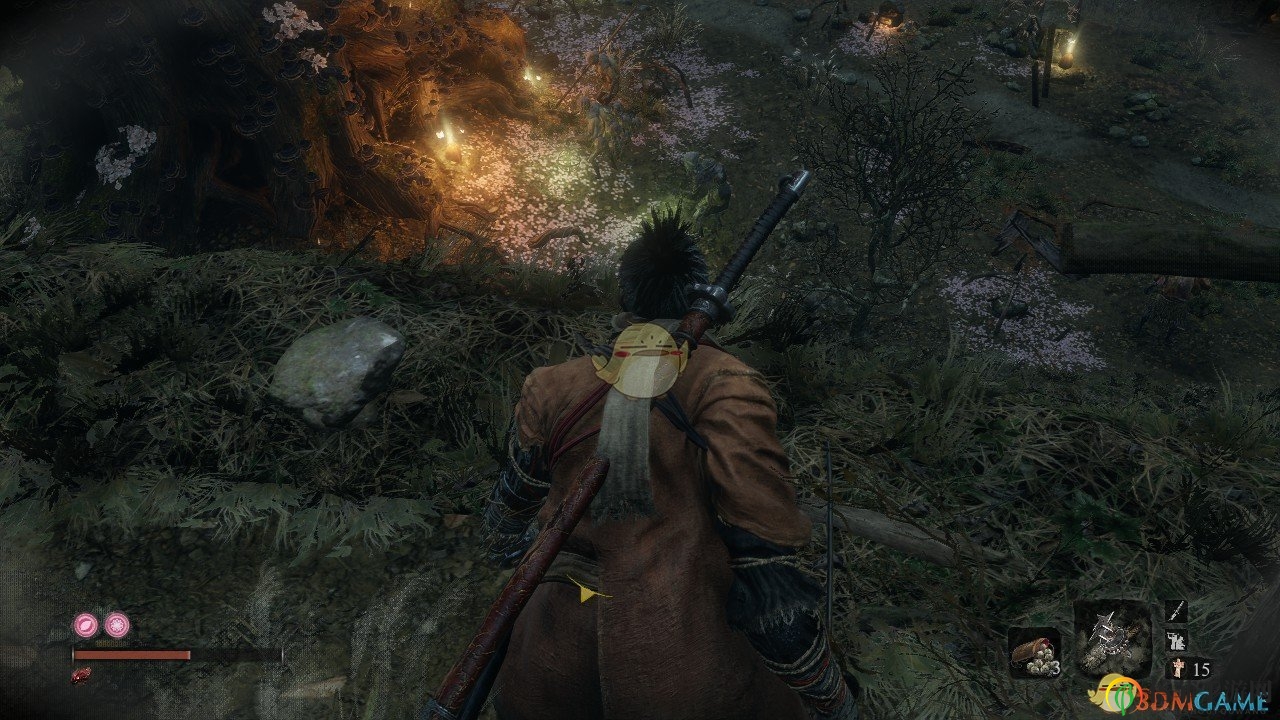 《只狼：影逝二度》全葫芦种子具体获得方法分享