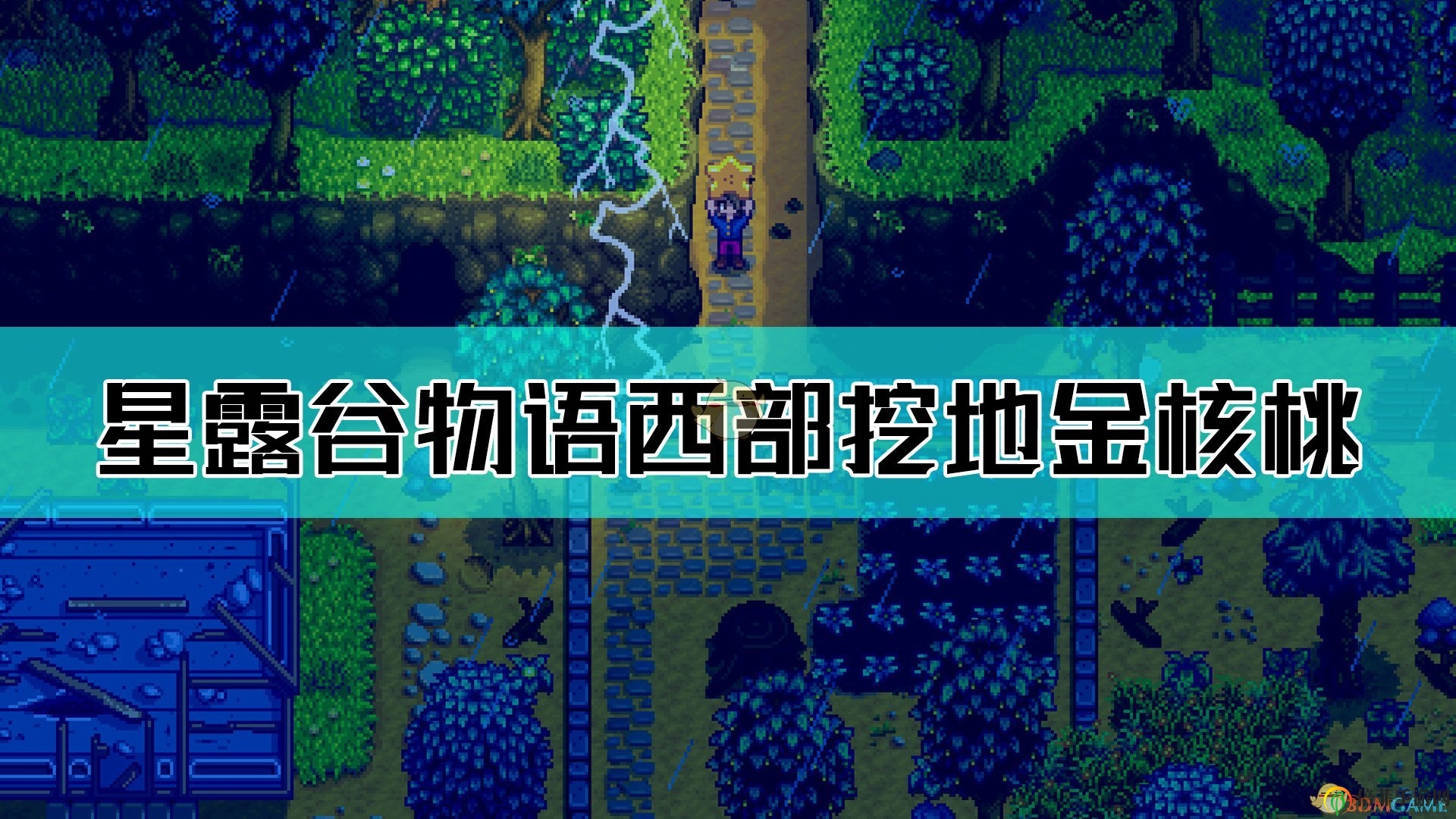 《星露谷物语》西部寻宝：挖掘金核桃的秘密指南