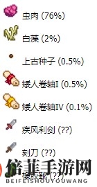 《星露谷物语》臭虫详解