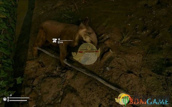 《绿色地狱》中貘肉品味解析及功效展示