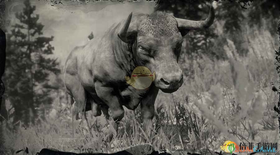 《荒野大镖客2》安格斯阉牛图鉴大揭秘