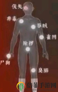 《探灵笔记》灵探基础魂值介绍