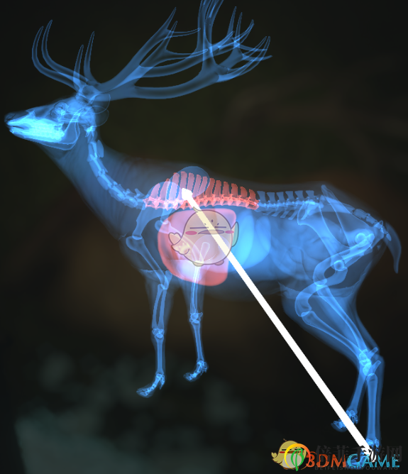 《猎人：荒野的呼唤》驯鹿＆赤鹿步枪速杀攻略