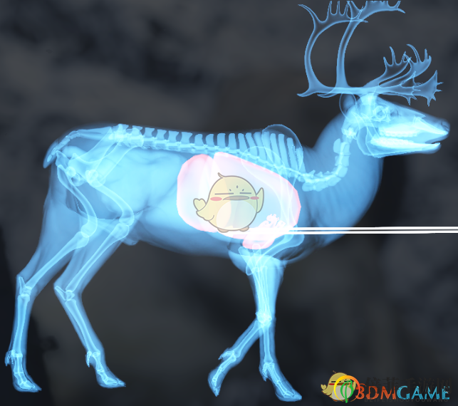 《猎人：荒野的呼唤》驯鹿＆赤鹿步枪速杀攻略