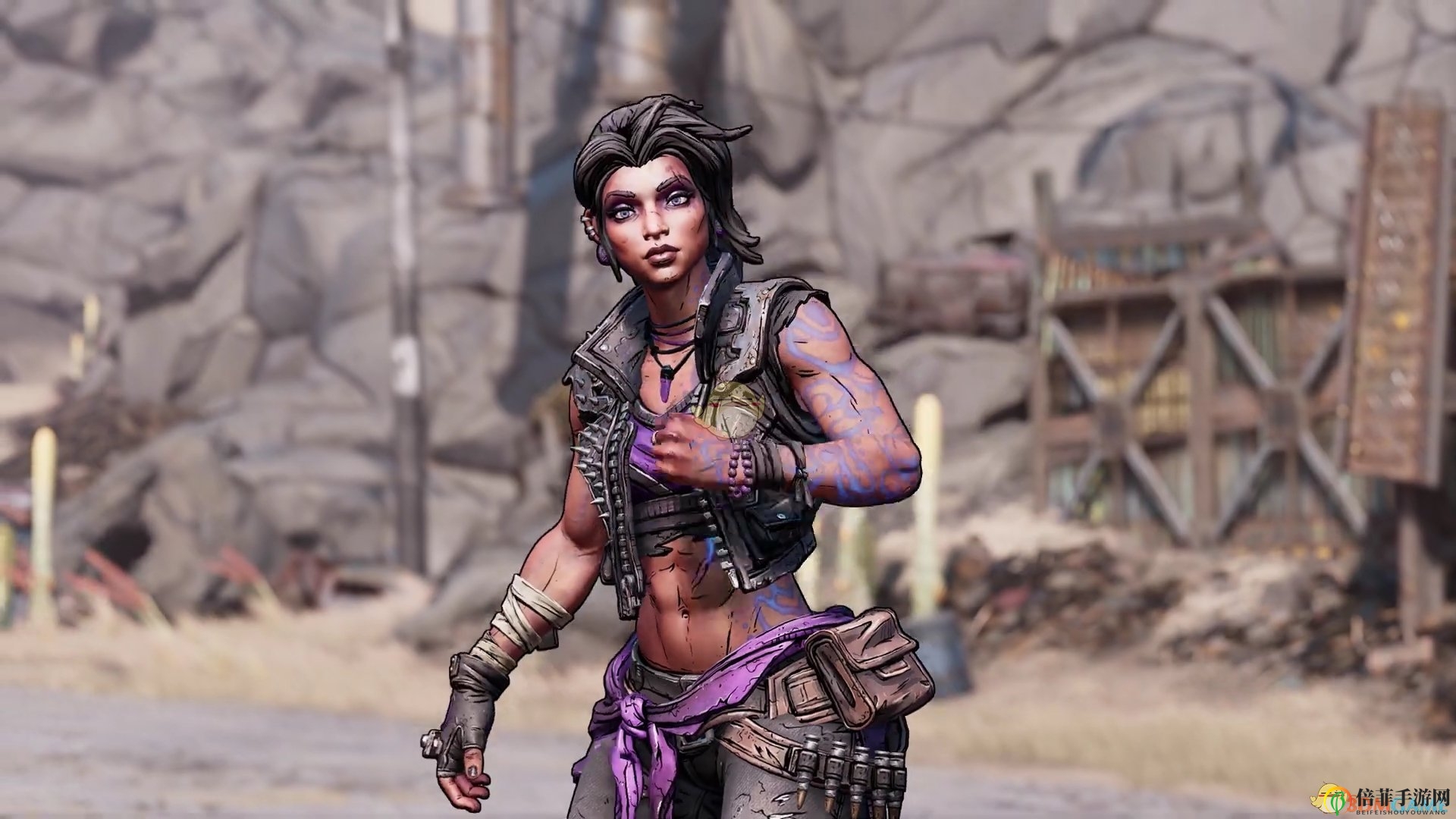 《无主之地3》预告探秘，深度解析隐藏细节